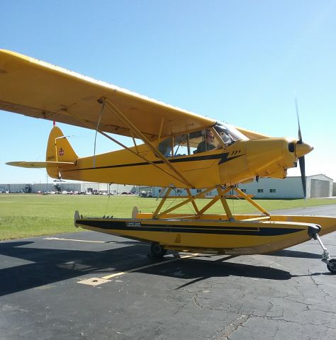 Piper L-21 Super Cub (N82100)