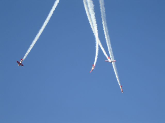 North American T-6 Texan — - Aeroshell team SUA airshow Nov 2010