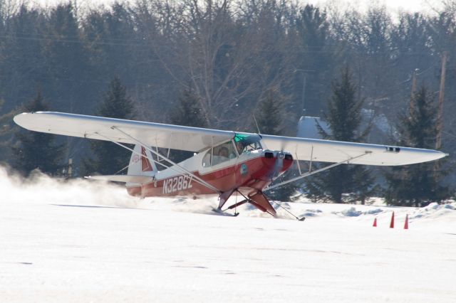 Piper L-21 Super Cub (N3286Z)