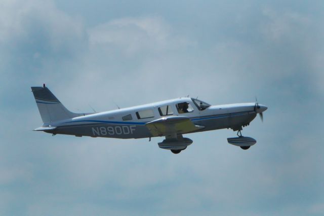 Piper Saratoga (N890DF)