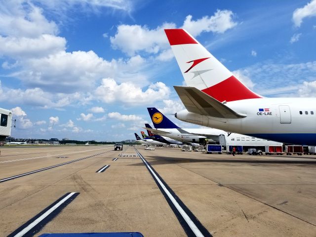 BOEING 767-300 (OE-LAE)