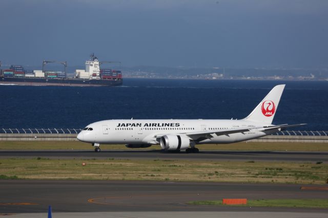 Boeing 787-8 (JA830J)