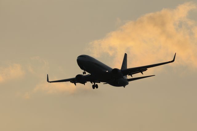 Boeing 737-800 (JA73AN) - 25 September 2015:KIX-HKD.