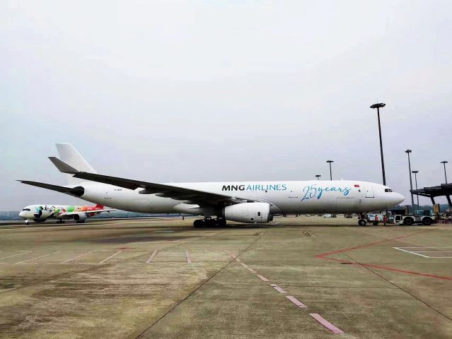 Airbus A330-300 (TC-MCM)