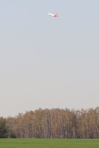 Boeing 737-800 (RA-73184)