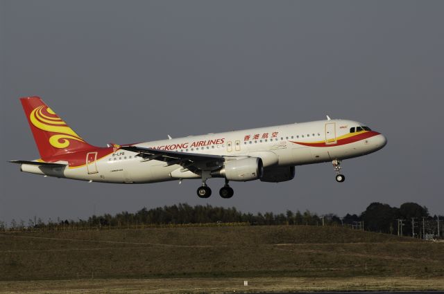 Airbus A320 (B-LPB) - Final Approach to NRT Airport R/W16L on 2012/04/08