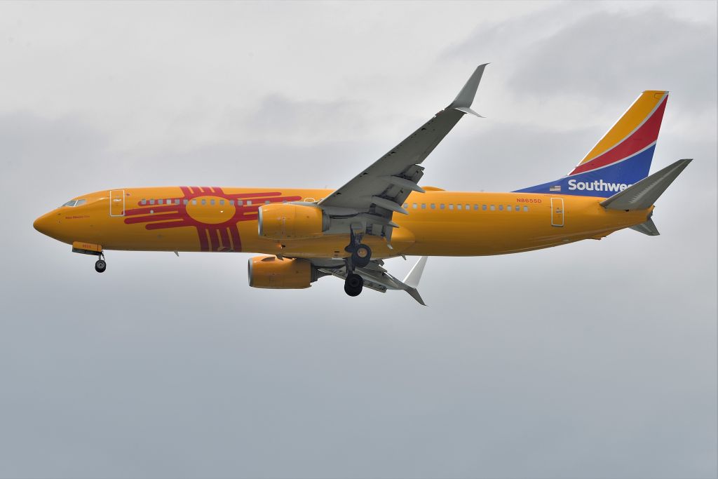 Boeing 737-800 (N8655D) - The "New" New Mexico One theme ship. Landing 23-R 08-17-23