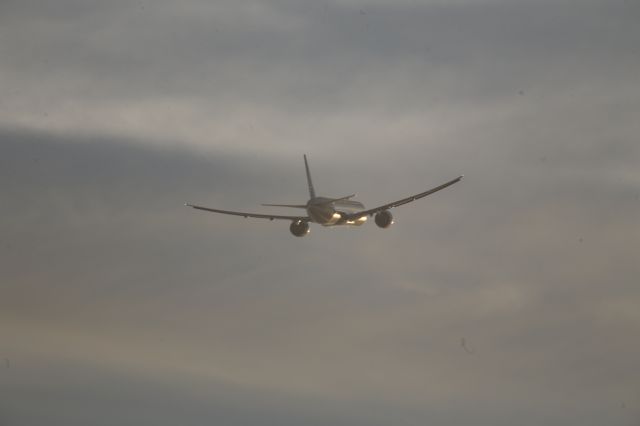 BOEING 777-300ER (B-16719)