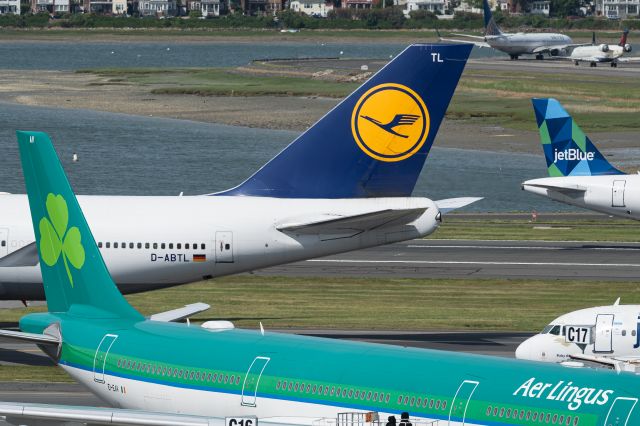 Airbus A330-300 (EI-EAV)
