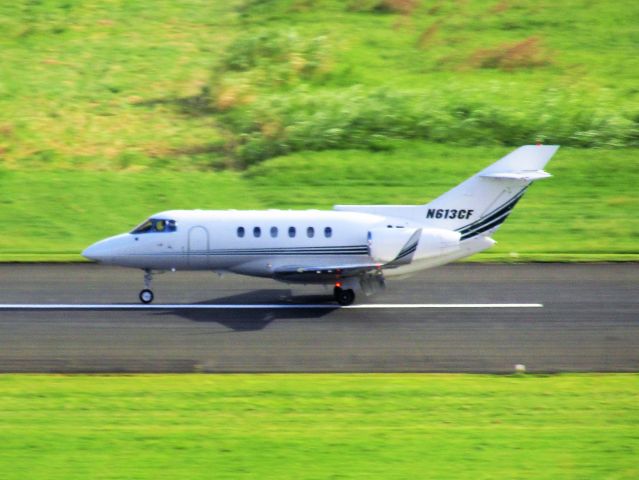 Hawker 800 (N613CF)
