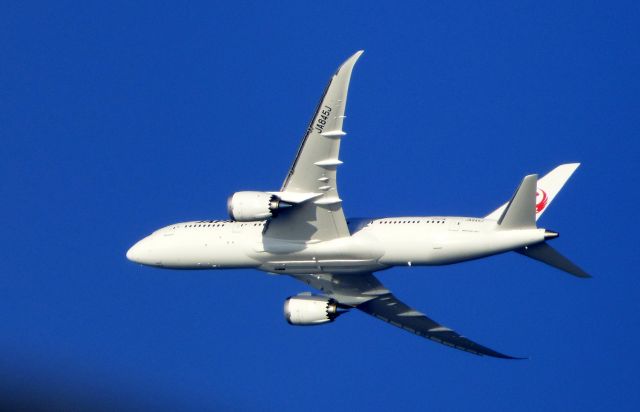 Boeing 787-8 (JA845J) - Shown here is a Japan Air Boeing 787-8 a few minutes until landing in the Summer of 2016.