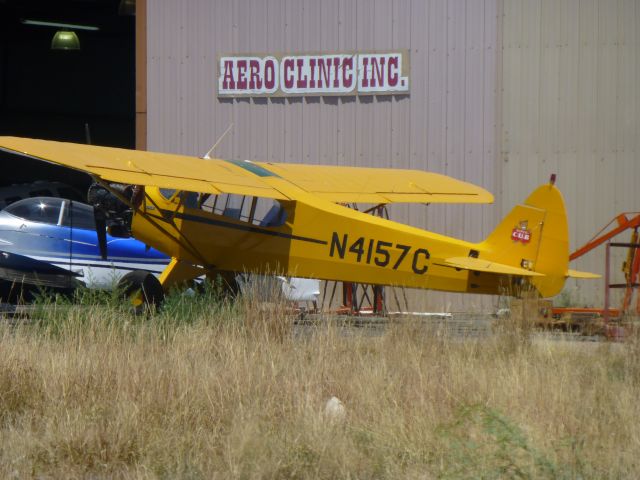 Piper L-18B Cub Special (N4157C)