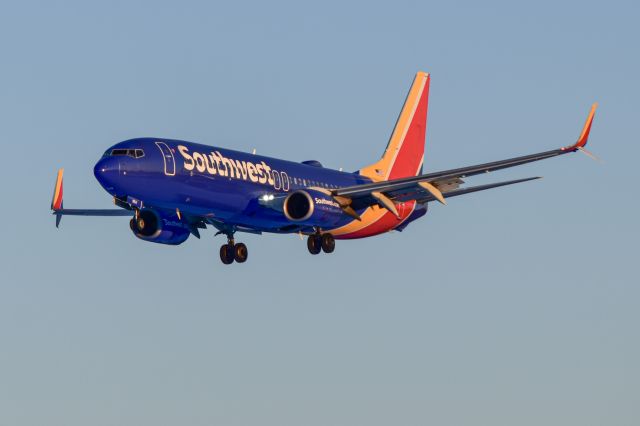 Boeing 737-800 (N8541F)