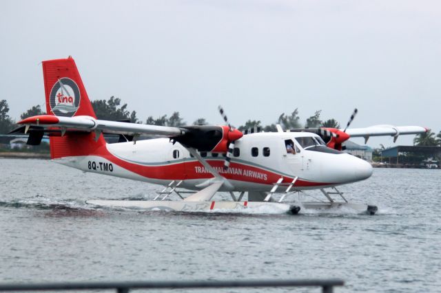 De Havilland Canada Twin Otter (8Q-TMO) - Taxiing for departure on 3-Jan-24.