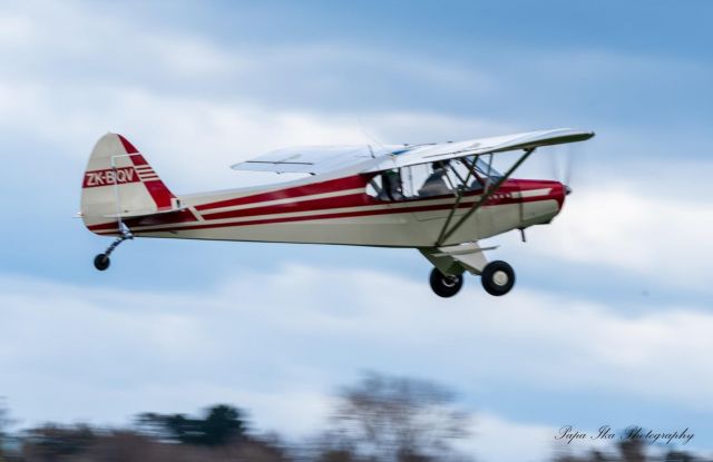 Piper L-21 Super Cub (ZK-BQV) - During Taildragger landing competition 