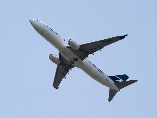 Boeing 737-800 (C-FXMS)