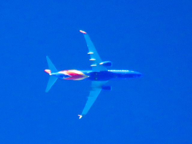 Boeing 737-800 (N8533S)
