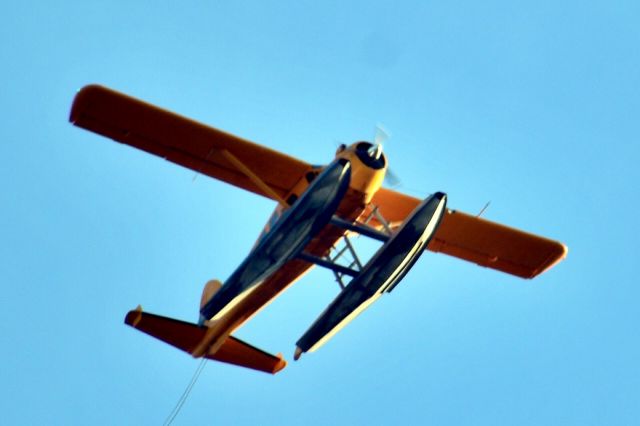 De Havilland Canada DHC-2 Mk1 Beaver (N123JL) - N123JL flies high above San Francisco during golden hour on Wednesday, 19 February, 2020