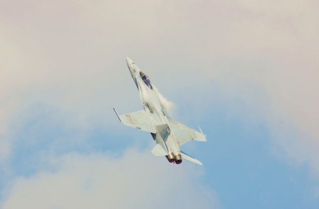 McDonnell Douglas FA-18 Hornet — - F/A-18C Hornet going vertical at Wings Over Houston 2010.