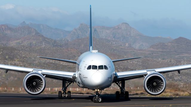 Boeing 787-8 (EC-MTI)