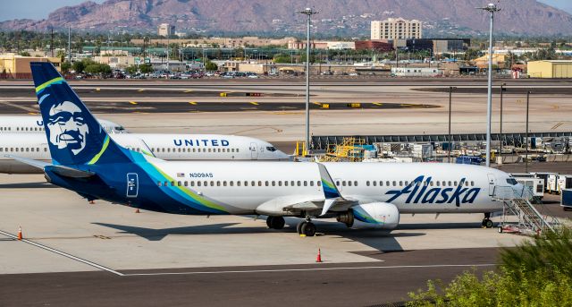 Boeing 737-900 (N309AS) - Spotted at KPHX on September 19, 2020