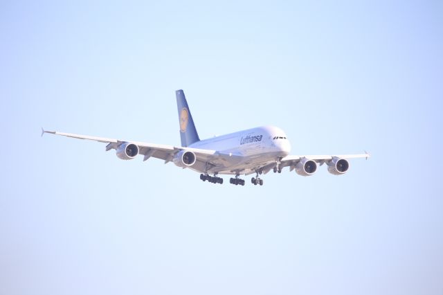 Airbus A380-800 (D-AIMN)