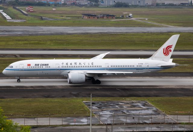 Boeing 787-8 (B-1591)