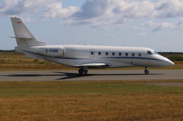 GILES G-200 (C-FISO)