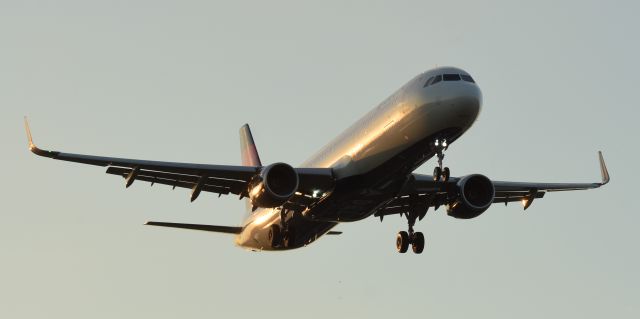 Airbus A321 (N305DN)