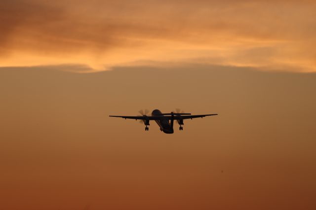 de Havilland Dash 8-400 (JA846A) - May 13, 2024:HKD-CTS.