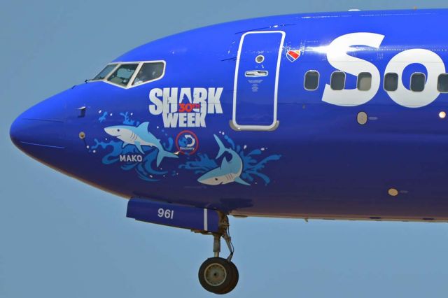 Boeing 737-700 (N961WN) - Southwest Boeing 737-7H4(W) N961WN Shark Week Mako at Phoenix Sky Harbor on August 19, 2018.