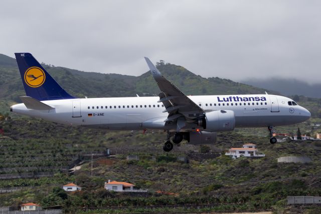 Airbus A320neo (D-AINE)