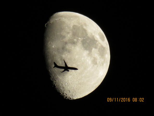 Boeing 737-800 (N879NN)