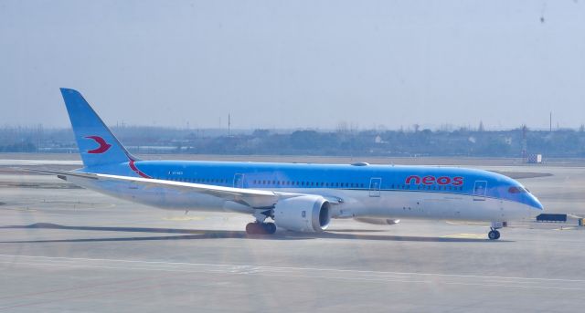 Boeing 787-8 (EI-NEO)