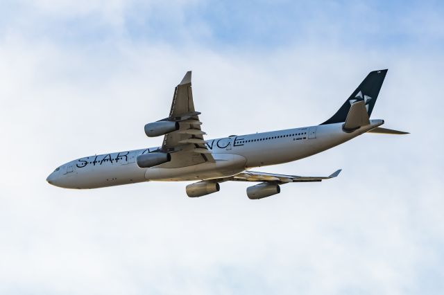 Airbus A340-300 (D-AIGW) - Lufthansa A340-300 in Star Alliance special livery taking off from DFW on 12/28/22. Taken with a Canon R7 and Tamron 70-200 G2 lens.