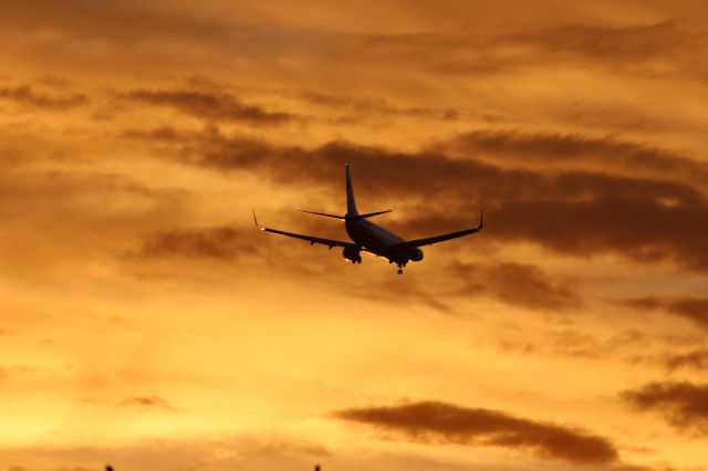 Boeing 737-800 (N524AS)