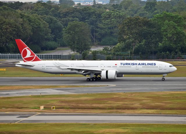 BOEING 777-300 (TC-LJF)