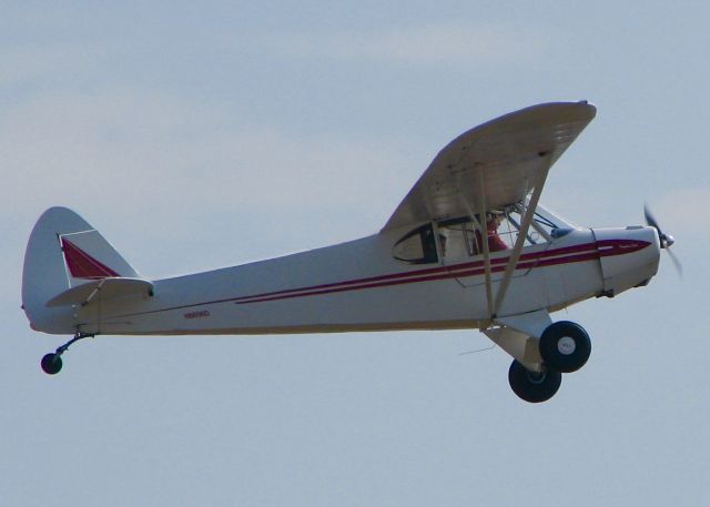 Piper L-21 Super Cub (N8696D) - At Downtown Shreveport.