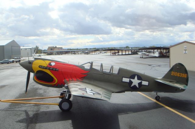 N1195N — - P-40N 42-196396 N1195N.  Painted to represent a P-40N from the 502nd FS, 337th FG, Napier Field, AL 1943.