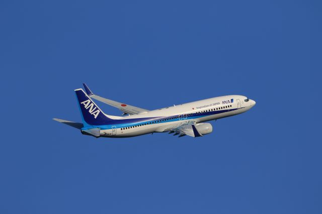 Boeing 737-800 (JA55AN) - January 18th 2020:HKD-HND.