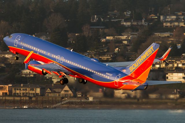 Boeing 737-800 (N8602F)