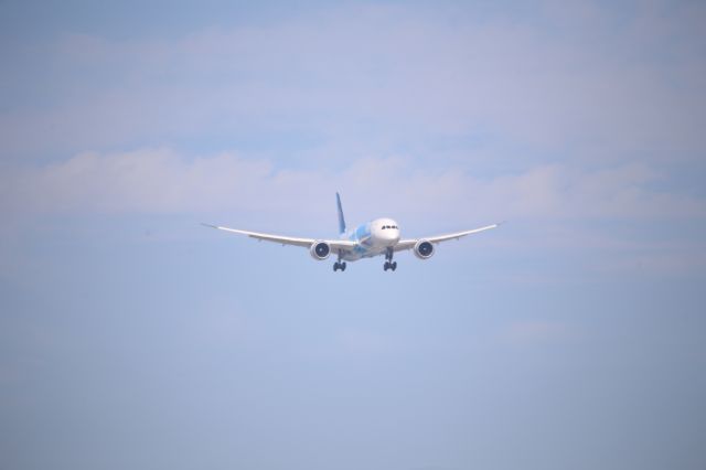 Boeing 787-9 Dreamliner (B-1168)