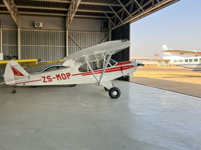 Piper L-21 Super Cub (ZS-MOP) - A very nice Piper Cub. 14-OCT-2022.