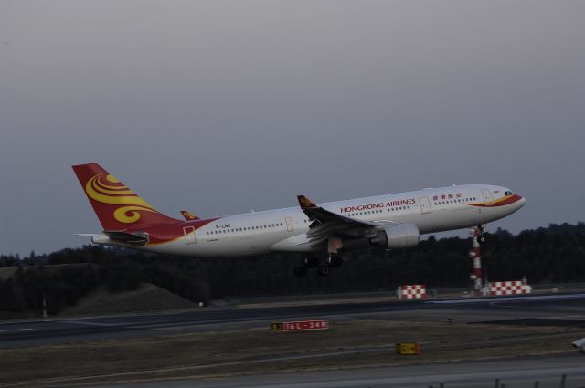 Airbus A330-200 (B-LNE) - Landing at NRT Airport Runway 16L on 2011/12/29