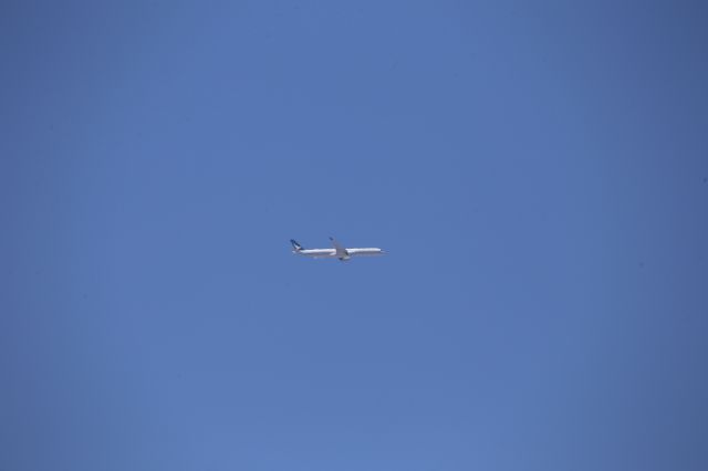 Airbus A350-1000 (B-LXM)