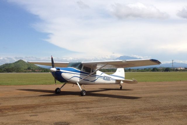 Cessna 170 (N2800C)