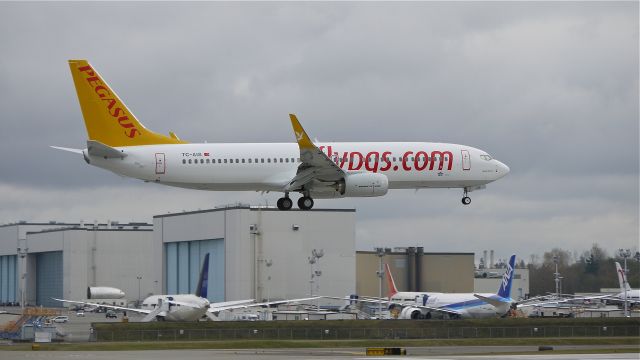 Boeing 737-800 (TC-AIS) - BOE981 on final to runway 16R for a touch/go landing. 12/8/11.