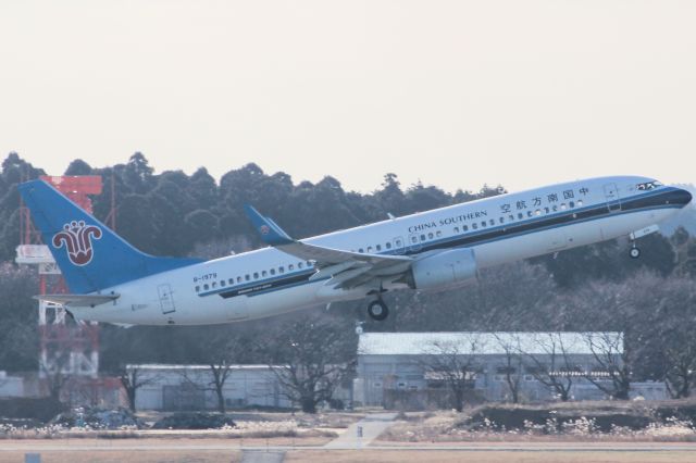 Boeing 737-800 (B-1979)