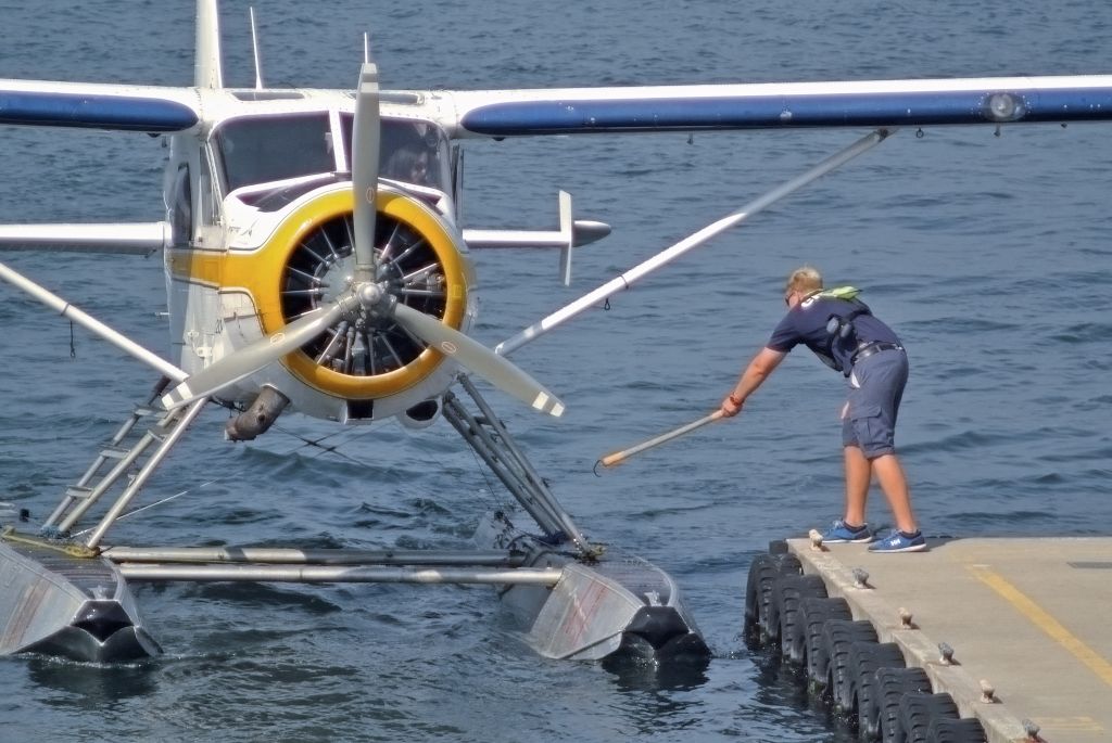 De Havilland Canada DHC-3 Otter (C-FOCY)