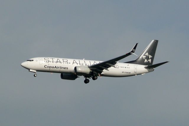 Boeing 737-700 (HP-1728CMP) - On final approach to Rwy 03R.